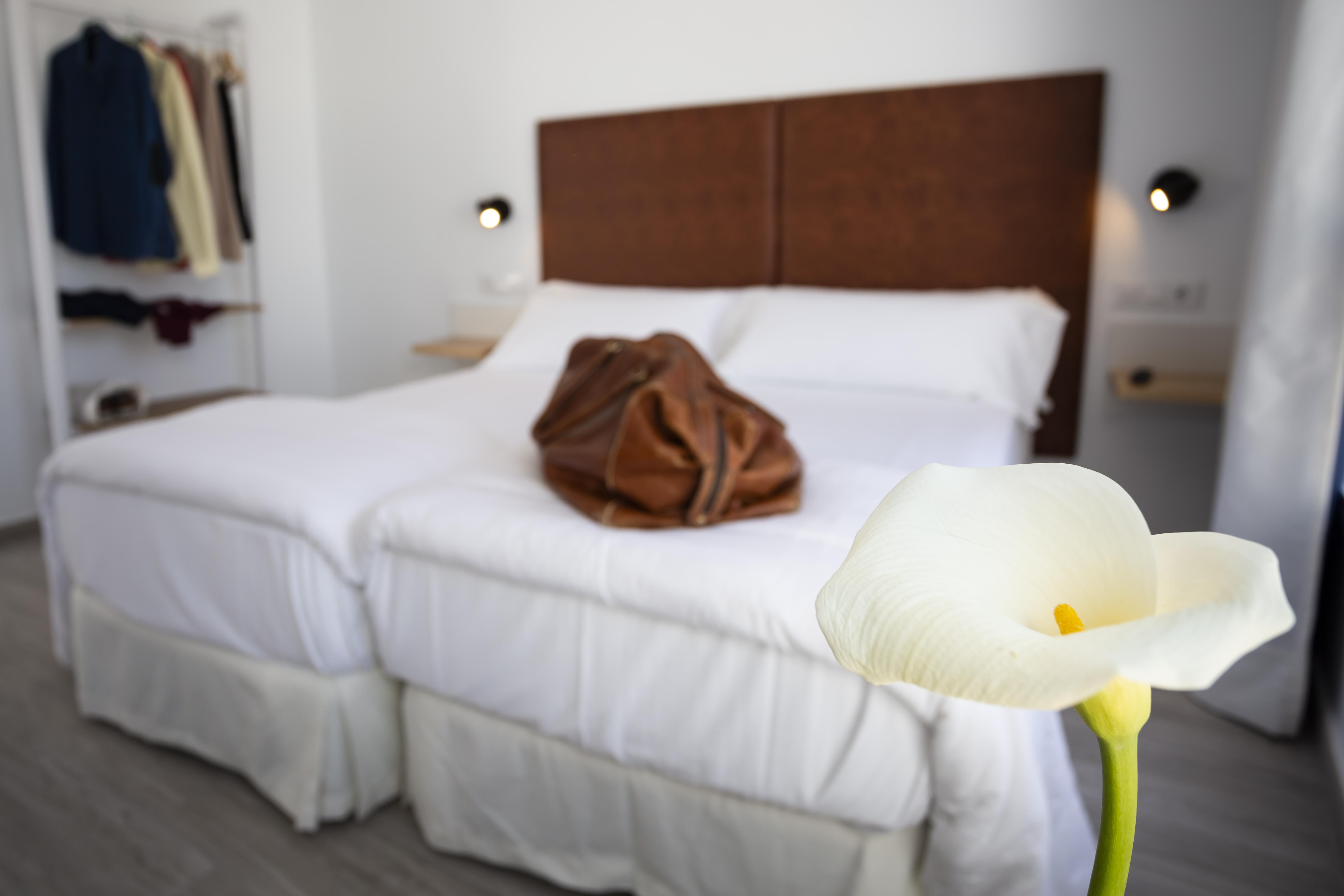 Basic Hotel Sevilla Catedral Ngoại thất bức ảnh